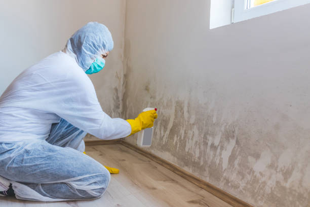 Licensed Commercial Mold Remediation service in Snellville, GA - WQB Mold Removal