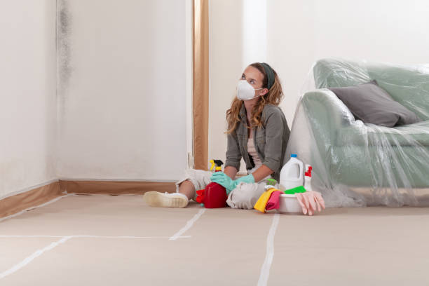 Reliable Commercial Mold Remediation contractor in Snellville, GA by WQB Mold Removal